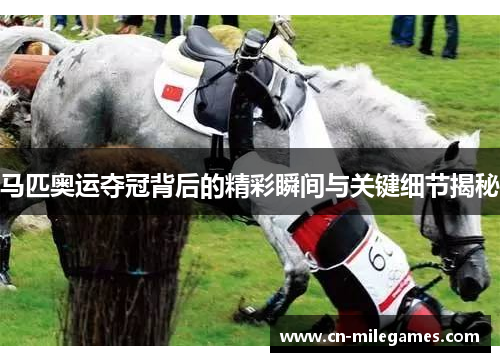 马匹奥运夺冠背后的精彩瞬间与关键细节揭秘